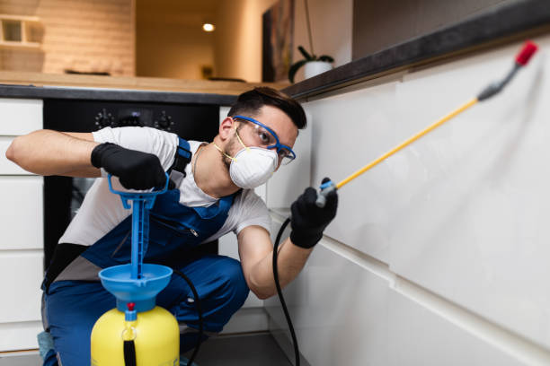 Pest Prevention Services in Lakeview, OH