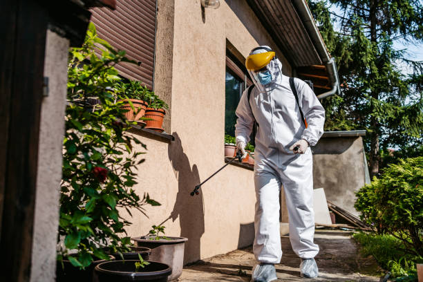 Best Pest Prevention Services  in Lakeview, OH