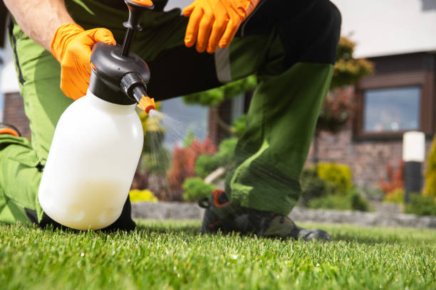 Best Bed Bug Extermination  in Lakeview, OH