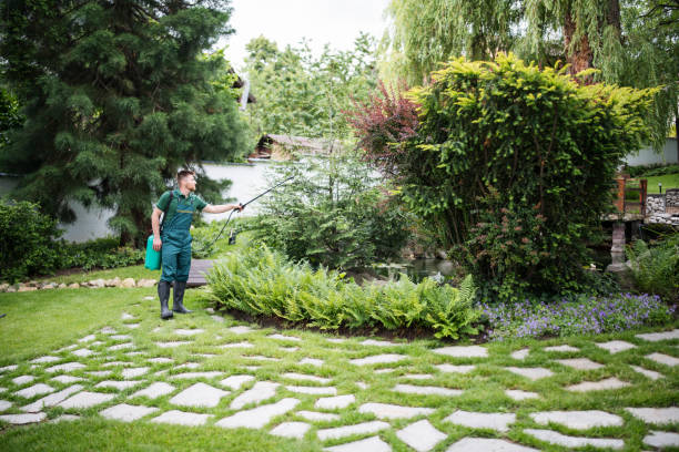 Best Ant Control Services  in Lakeview, OH