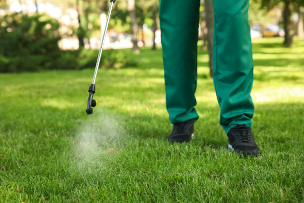 Professional Pest Control in Lakeview, OH