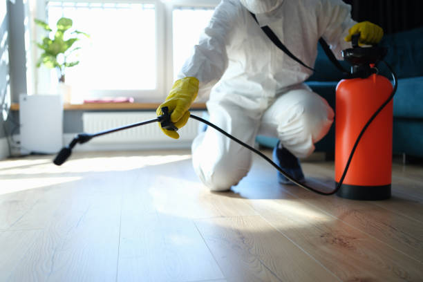 Best Local Pest Control Services  in Lakeview, OH