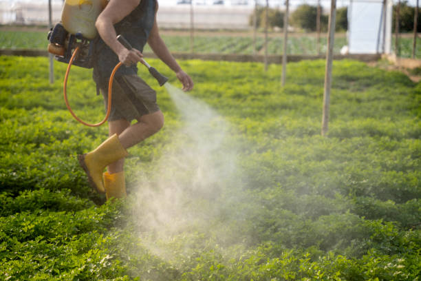 Best Affordable Pest Control Services  in Lakeview, OH