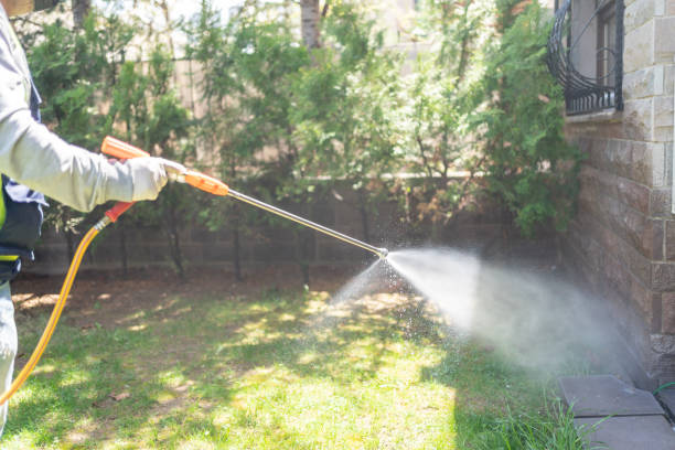Best Spider Control Near Me  in Lakeview, OH