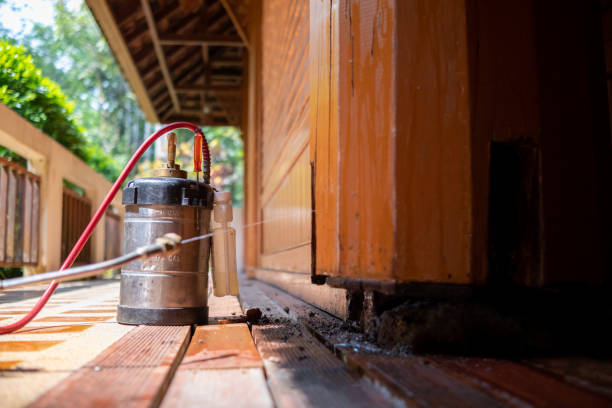 Best Exterminator Services  in Lakeview, OH