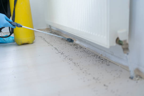 Best Wildlife Control Services  in Lakeview, OH