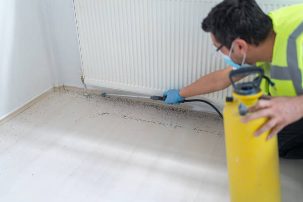 Best Pest Prevention Services  in Lakeview, OH